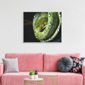 Groene boomslang emerald boa in Bolivia Canvas Afdruk (Insitu (Woonkamer))
