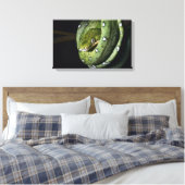 Groene boomslang emerald boa in Bolivia Canvas Afdruk (Insitu (Slaapkamer))