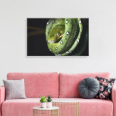 Groene boomslang emerald boa in Bolivia Canvas Afdruk (Insitu (Woonkamer))