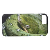 Groene boomslang emerald boa in Bolivia Case-Mate iPhone Case (Achterkant (Horizontaal))