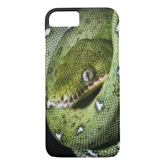 Groene boomslang emerald boa in Bolivia Case-Mate iPhone Case (Achterkant)