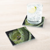 Groene boomslang emerald boa in Bolivia Glazen Onderzetter (Schuin)