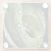 Groene boomslang emerald boa in Bolivia Glazen Onderzetter (Achterkant)