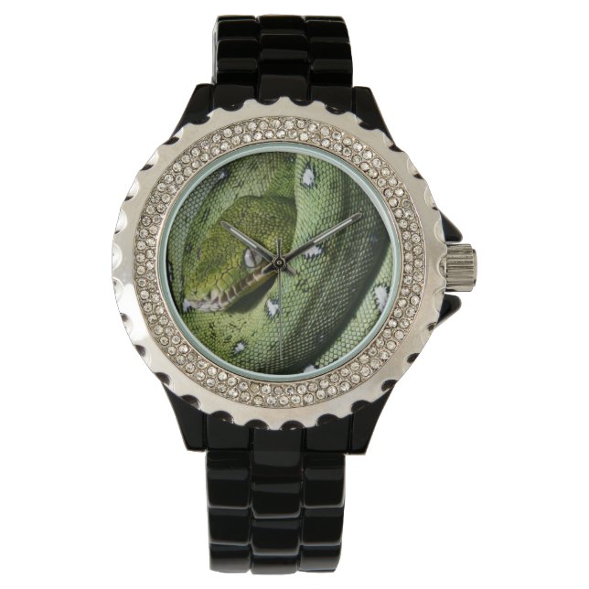 Groene boomslang emerald boa in Bolivia Horloge (Voorkant)
