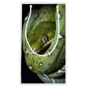 Groene boomslang emerald boa in Bolivia Klein Cadeauzakje (Voorkant)