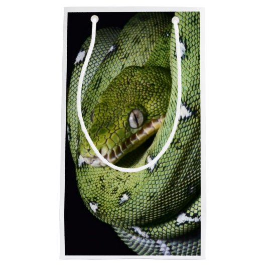 Groene boomslang emerald boa in Bolivia Klein Cadeauzakje (Voorkant)