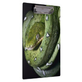 Groene boomslang emerald boa in Bolivia Klembord (Rechts)
