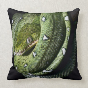 Groene boomslang emerald boa in Bolivia Kussen