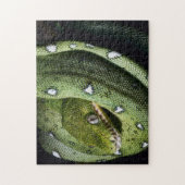 Groene boomslang emerald boa in Bolivia Legpuzzel (Verticaal)