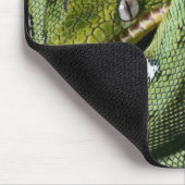 Groene boomslang emerald boa in Bolivia Muismat (Hoek)