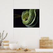 Groene boomslang emerald boa in Bolivia Poster (Keuken)
