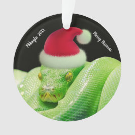 Groene boomslang in Santa Hat Merry Hissmas Ornament