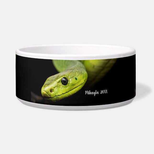 Groene Boomslang  Voerbakje (Voorkant)
