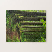 Groene Bos Wandelpad Schilderachtig Legpuzzel (Horizontaal)