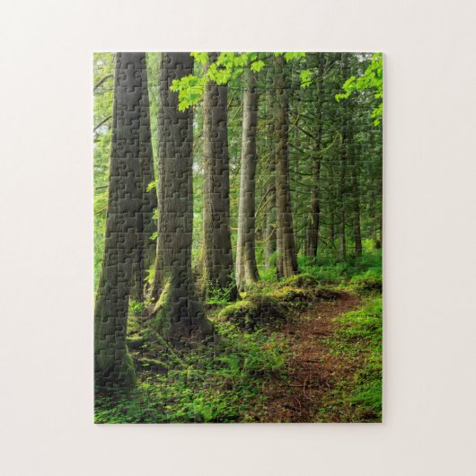 Groene Bos Wandelpad Schilderachtig Legpuzzel (Verticaal)