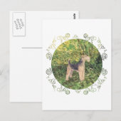 Groene Bossen Briefkaart (Voorkant / Achterkant)