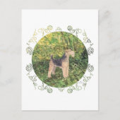 Groene Bossen Briefkaart (Voorkant)