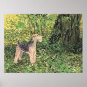 Groene Bossen Poster (Voorkant)