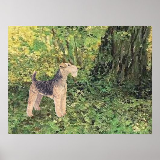 Groene Bossen Poster (Voorkant)