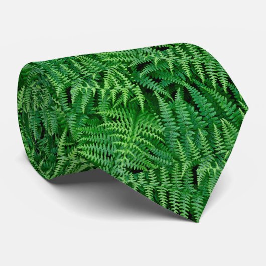Groene bosvaren voor het man: stropdas (Opgerold)