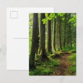 Groene boswandeling landschappelijk briefkaart (Voorkant / Achterkant)