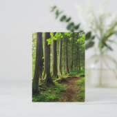 Groene boswandeling landschappelijk briefkaart (Staand voorkant)