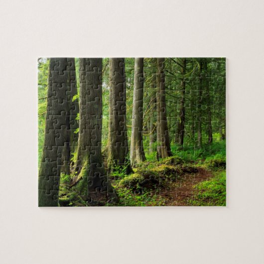 Groene boswandeling landschappelijk legpuzzel (Horizontaal)