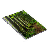 Groene boswandeling landschappelijk notitieboek (Rechterzijde)