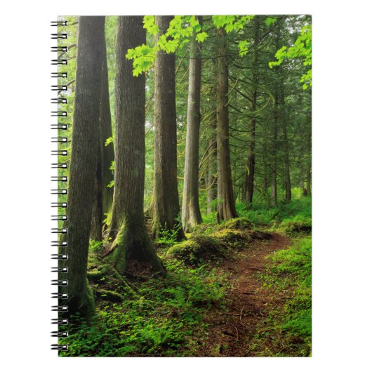 Groene boswandeling landschappelijk notitieboek (Voorkant)