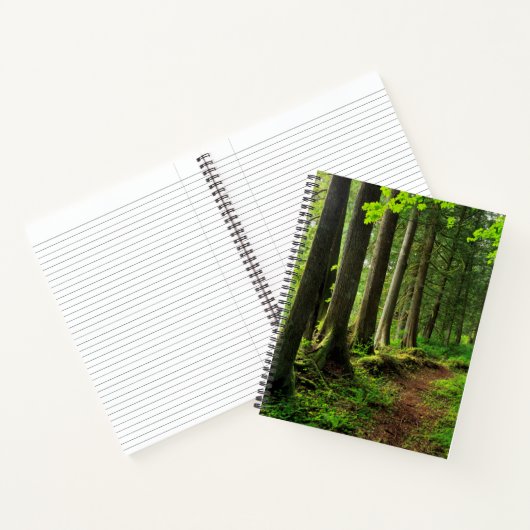Groene boswandeling landschappelijk notitieboek (Binnen)