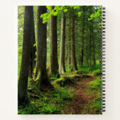 Groene boswandeling landschappelijk notitieboek (Achterkant)
