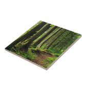 Groene boswandeling landschappelijk tegeltje (Zijkant)