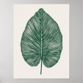 Groene botanische bananenblad Plant liefhebbers Bo Poster (Voorkant)