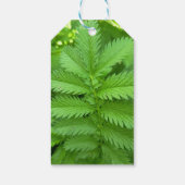 Groene botanische bladeren cadeaukaart cadeaulabel (Achterkant)