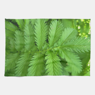 Groene Botanische Bladeren Keukenhanddoek