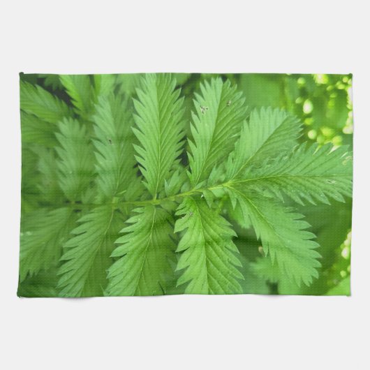 Groene Botanische Bladeren Keukenhanddoek (Horizontaal)