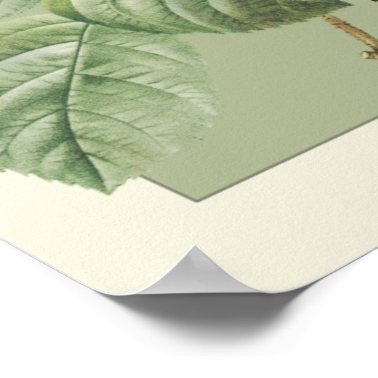 Groene Botanische Bloem Poster Kamer Decor (Hoek)