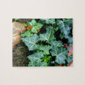 Groene botanische klimop en veldsteen legpuzzel (Horizontaal)