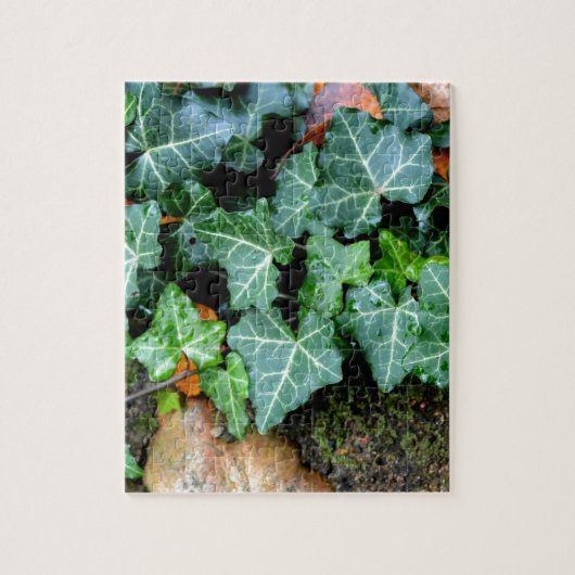 Groene botanische klimop en veldsteen legpuzzel (Verticaal)