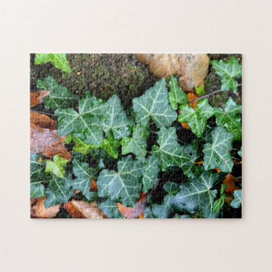 Groene botanische klimop en veldsteen legpuzzel (Horizontaal)