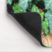 Groene botanische klimop en veldsteen muismat (Hoek)