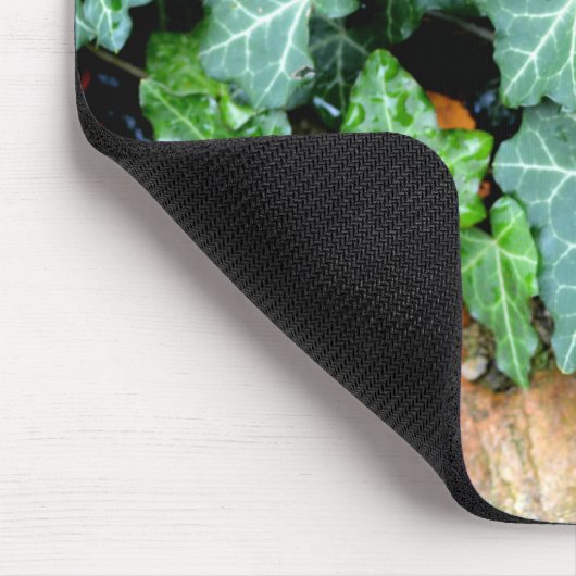 Groene botanische klimop en veldsteen muismat (Hoek)