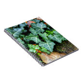 Groene botanische klimop en veldsteen notitieboek (Rechterzijde)