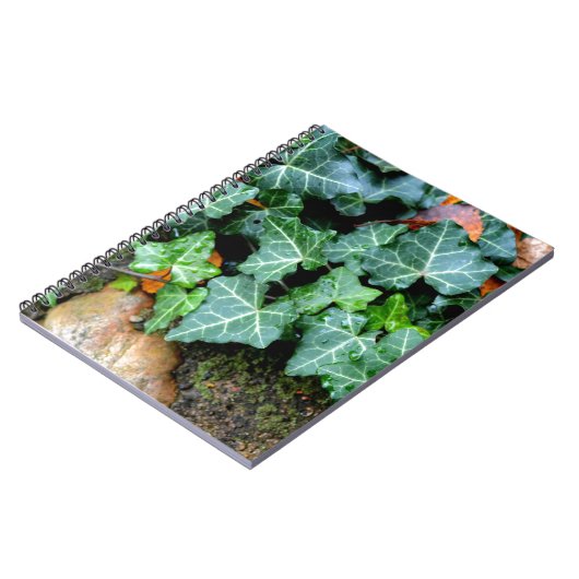 Groene botanische klimop en veldsteen notitieboek (Linkerzijde)