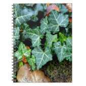 Groene botanische klimop en veldsteen notitieboek (Voorkant)