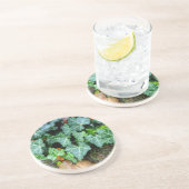 Groene botanische klimop en veldsteen zandsteen onderzetter (Zijkant)