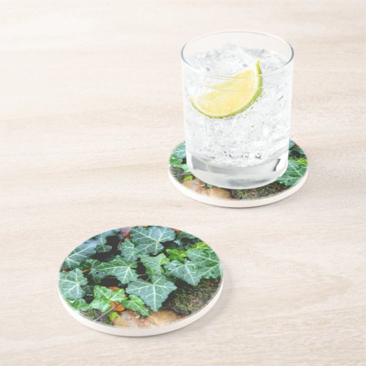 Groene botanische klimop en veldsteen zandsteen onderzetter (Zijkant)