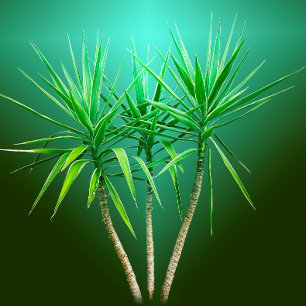 Groene Botanische Palmboom Kussen Servet