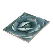 Groene botanische woestijn Succulent Tegeltje (Zijkant)