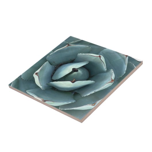 Groene botanische woestijn Succulent Tegeltje (Zijkant)